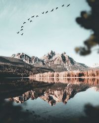 Birds flying over lake against mountain range