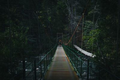 Footbridge amidst trees in forest