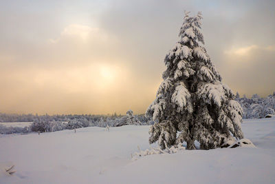 Snow covered land against sky during sunset