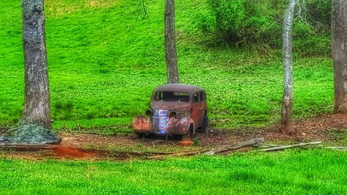 Vintage car on field by trees