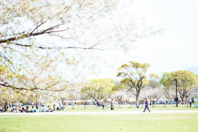 Group of people playing in park