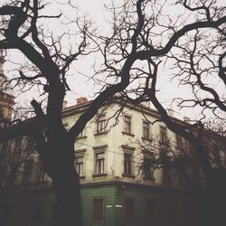 Low angle view of bare trees against buildings