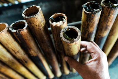 Close-up of hand holding bamboo