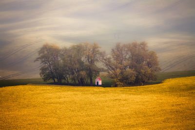 Rear view of person standing on field, czech moravia