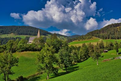 Panoramic view of trees on field against sky