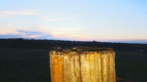 View of trees