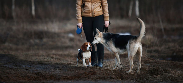 Man with dog walking on field