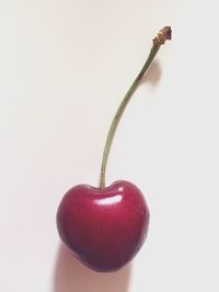 Close-up of red fruit over white background