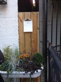 Potted plants on the wall