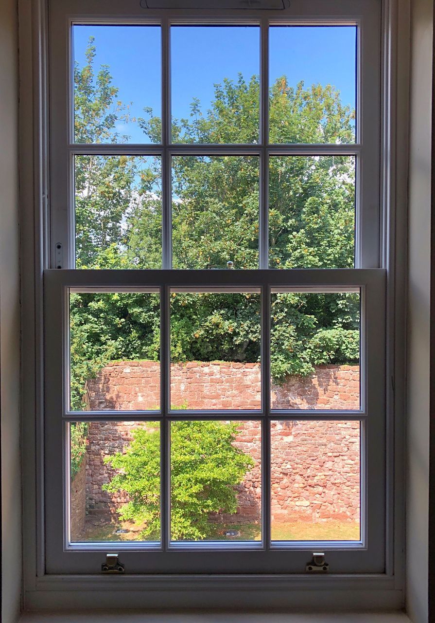 PLANTS SEEN THROUGH WINDOW OF HOUSE