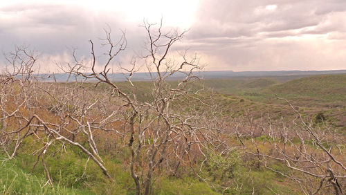 Scenic view of landscape against cloudy sky