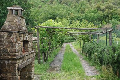 Walkway amidst trees on land