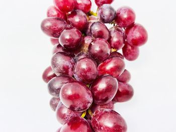 Close-up of grapes against white background