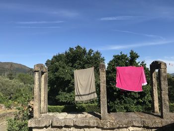 Clothes drying on field against sky