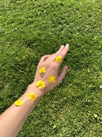 Close-up of hand on field