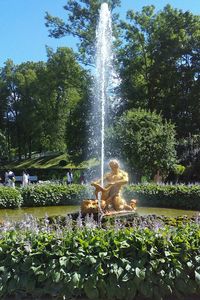 Water splashing on fountain against trees