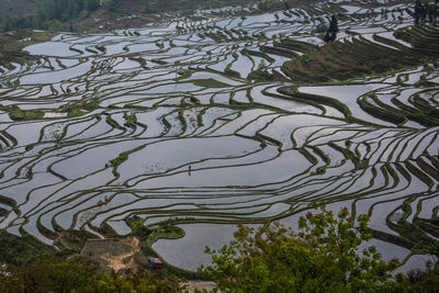 Aerial view of agricultural field in china