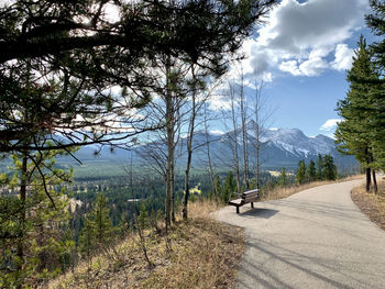 Road by trees against sky