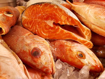 Close-up of fish for sale in market