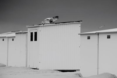 Low angle view of bird perching on building against sky