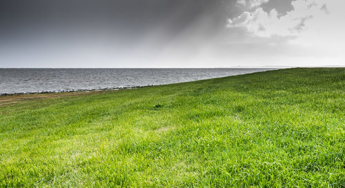 Scenic view of sea against sky