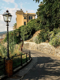 Street amidst trees and buildings in city