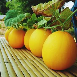 Close-up of oranges on table