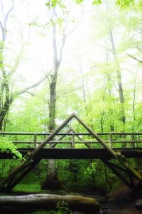Staircase in park against sky