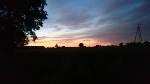 Silhouette trees on field against sky at sunset