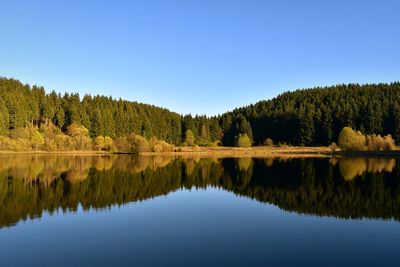 Scenic view of lake in forest against clear blue sky