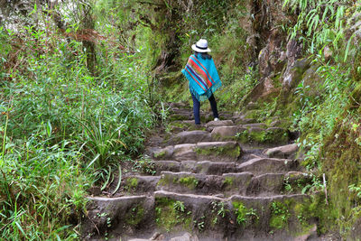 Full length rear view of woman standing on steps in forest