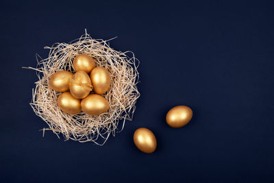 Close-up of eggs in nest against black background