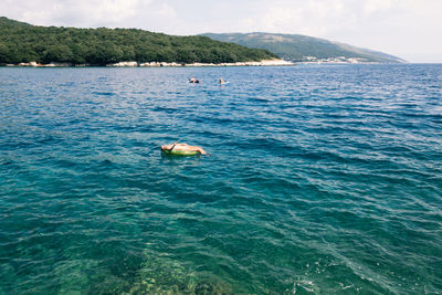 Young woman swimming in sea