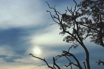 Low angle view of bare tree against sky