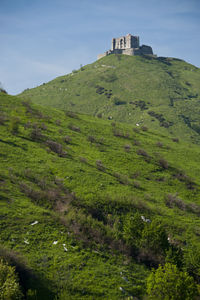 Scenic view of green landscape against sky