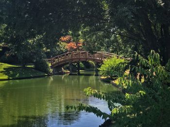 Arch bridge over lake against trees