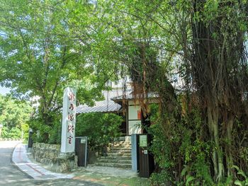 Footpath amidst trees and building