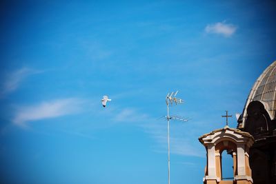 Low angle view of birds flying by building against sky