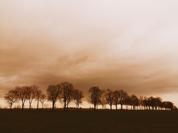 Palm trees on landscape against sky