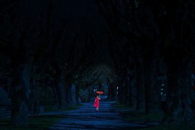 Rear view of woman standing on walkway amidst trees