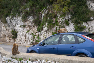 Car on road by rock formation