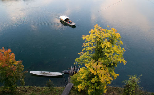High angle view of boats on lake by trees