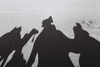 Shadow of person with camel on sand