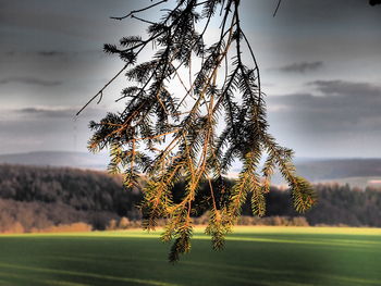 Scenic view of field against cloudy sky