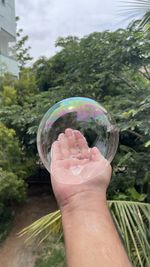 Close-up of hand holding bubble against plants