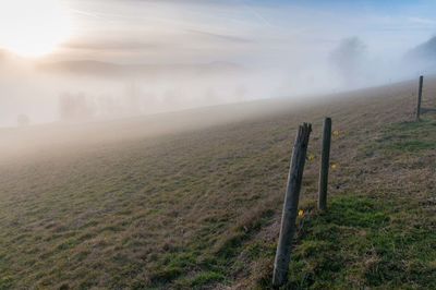 Scenic view of grassy field against sky