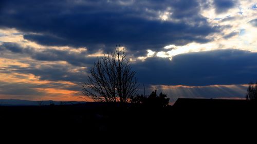 Silhouette of trees against cloudy sky