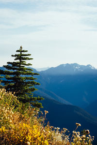 Scenic view of mountains against sky