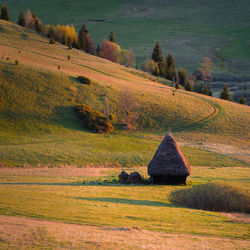 Scenic view of field