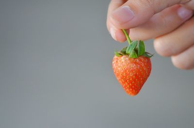 Close-up of hand holding fruit over white background